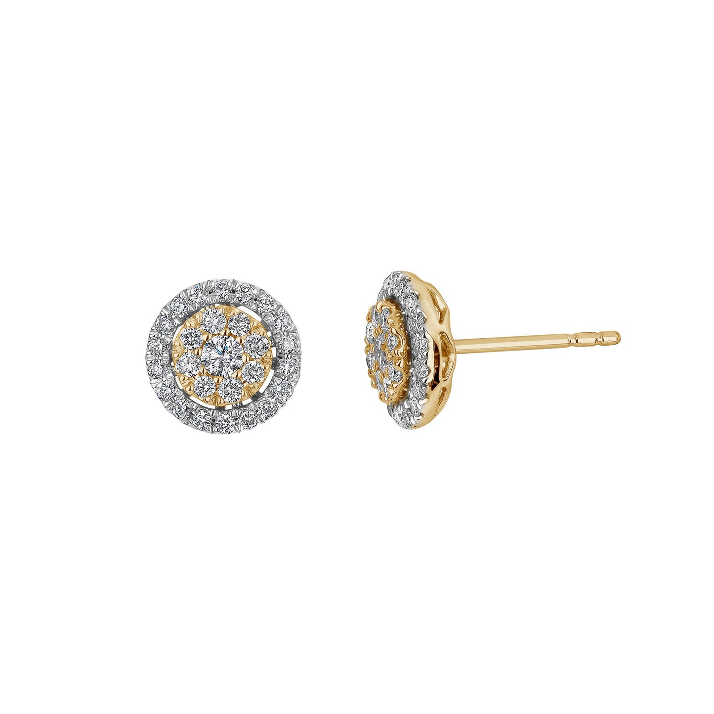 Two-Tone Diamond Circle Stud with Halo