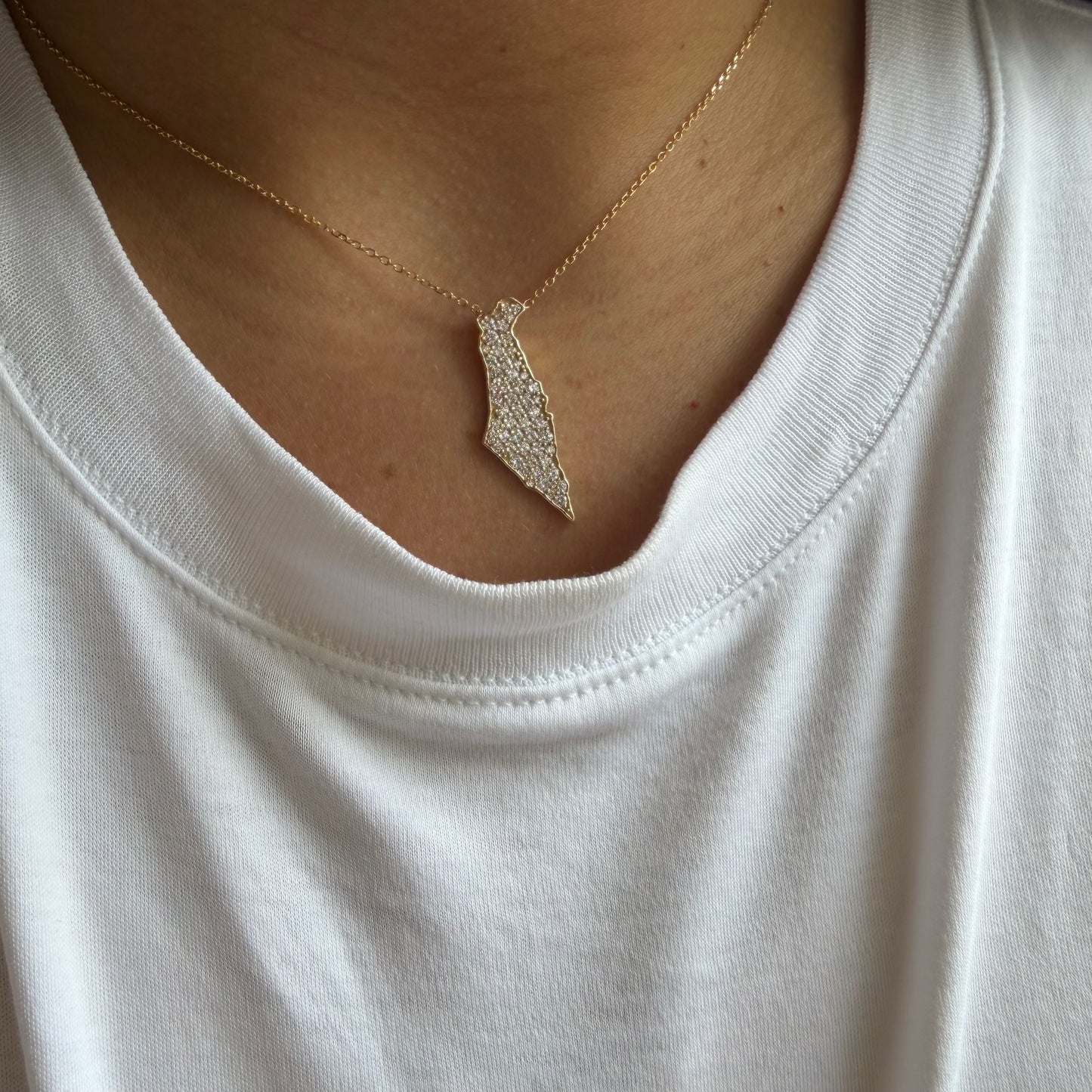 Lab Diamond Map of Israel Necklace