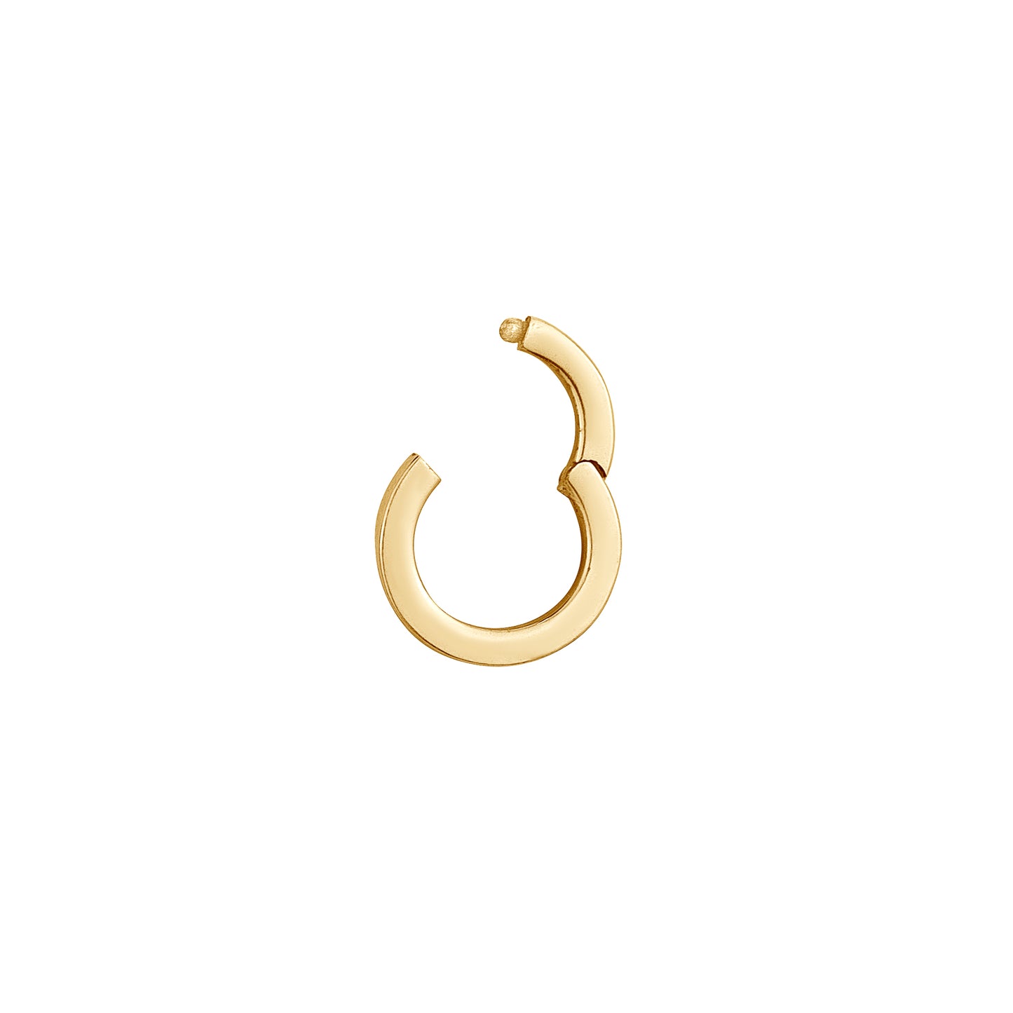 Small Round Gold Clasp, Pull