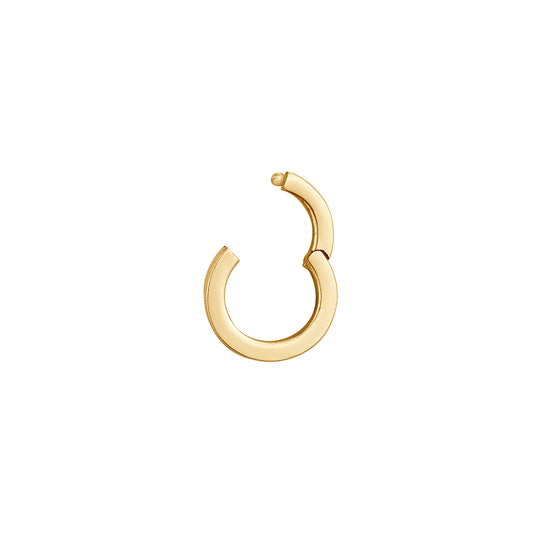 Small Round Gold Clasp, Pull